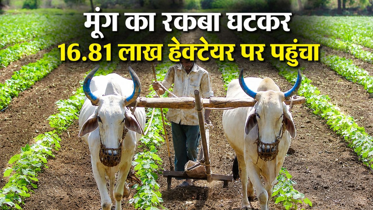 Kharif Sowing 2026 Rice Sowing Picks Up Pulse Acreage Decreases