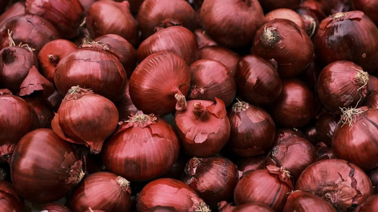Maharashtra State Onion Growers Association Onion Farmers Affected By Rain Facing Difficulties