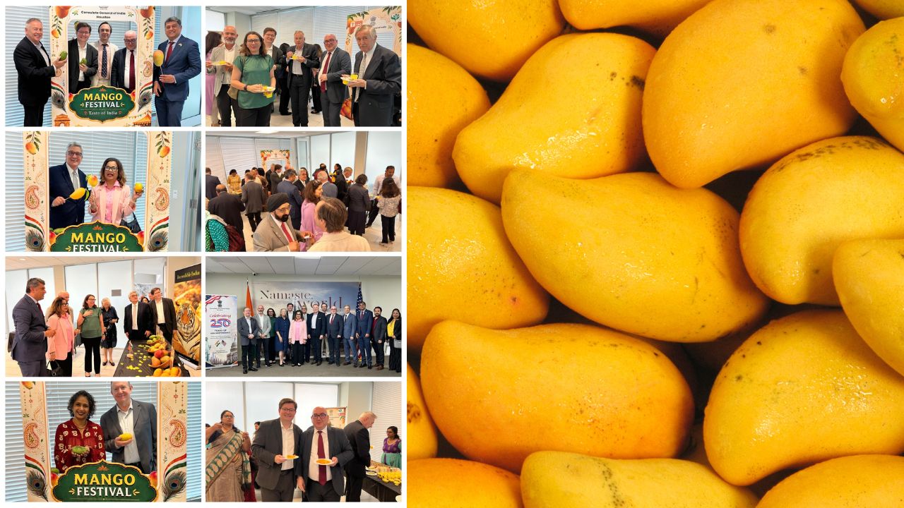 Indian Mangoes Showcased At Houston Mango Festival Apeda Promotes Exports To Us Retail Markets India Usa Trade 2026