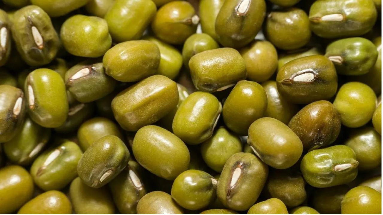 Bumper Arrival Moong Punjab Mandi Price Rs 8200 Per Quintal Crop Diversification