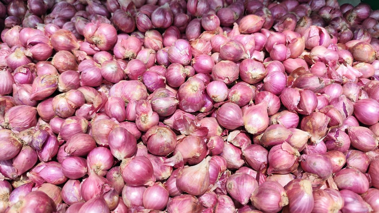 Maharashtra Government Is Starting Onion Dehydration Project