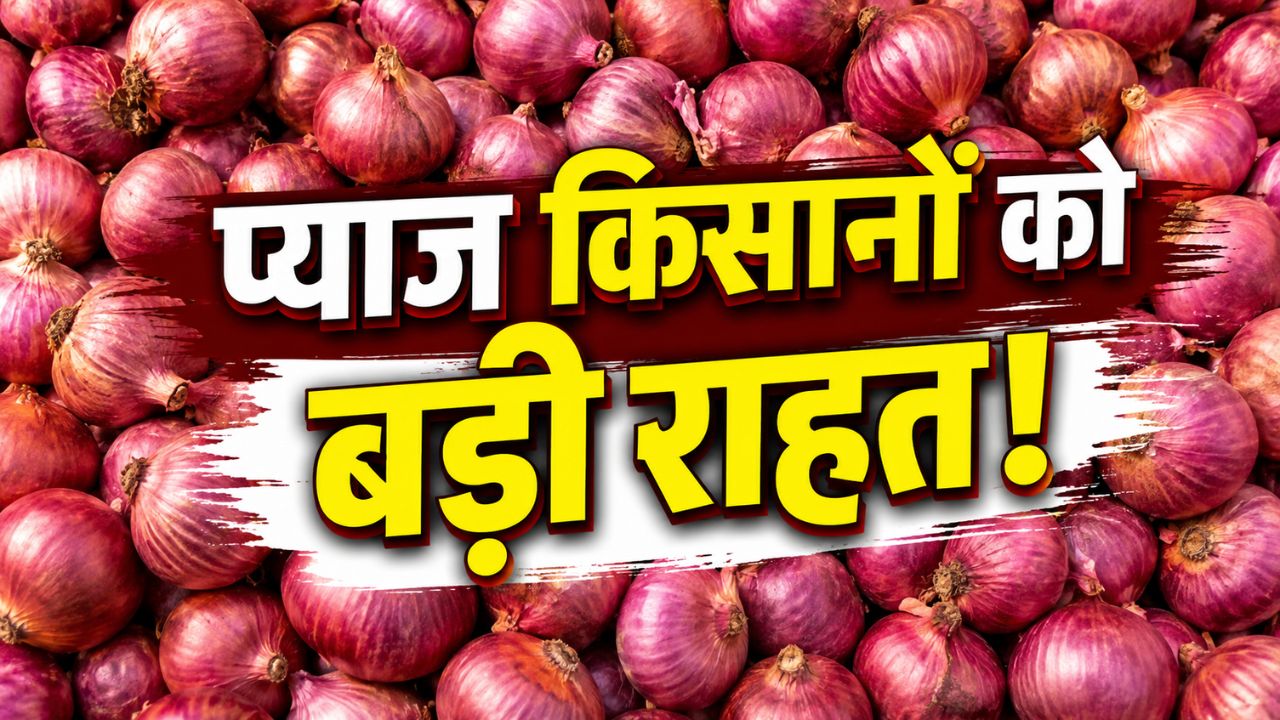 Onion Procurement Price Hiked For The Sixth Time Government To Buy Onions At Rs 23 Point 35 Per Kg