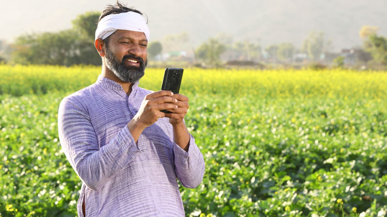 Pm Fasal Bima Yojana Registration Date Upto 31st July Know How To Apply For Crop Insurance Pmfby