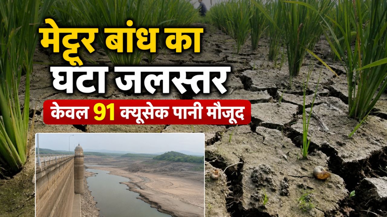 Tamil Nadu Cauvery Delta Farmers Are Unable To Cultivate Paddy Due To Irrigation Shortage