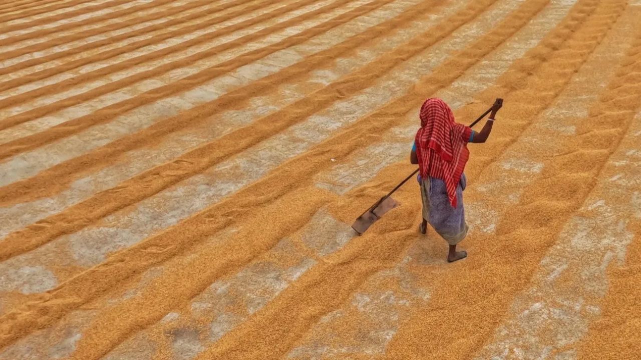 Tamil Nadu Paddy Farmers Paddy Procurement Pending Payment