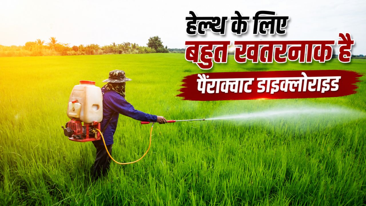 Import Manufacture Sale And Use Of Paraquat Dichloride Will Be Banned Draft Notification Issued