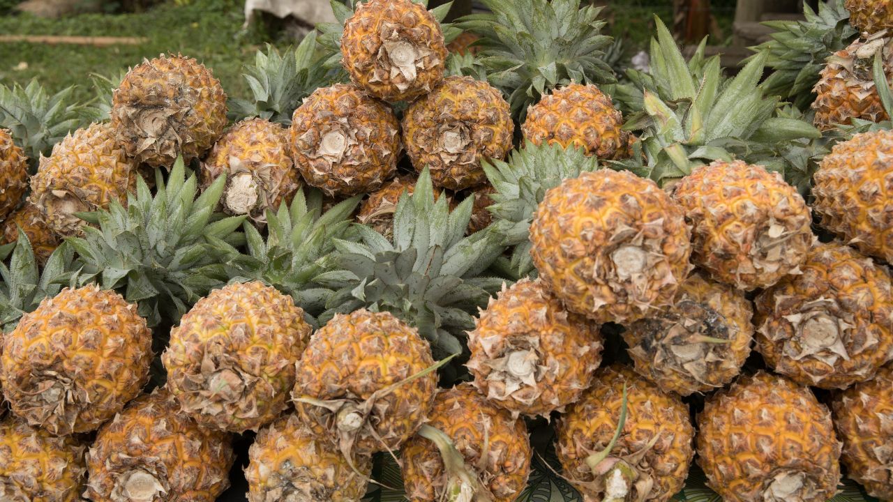 Meghalaya Pineapple Festival 2026 Record 30 Ton Sales In Delhi Farmers Income Rises With Value Addition Dubai Exports