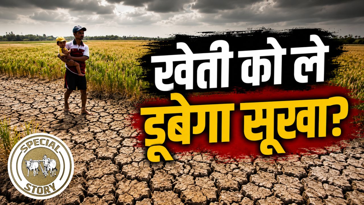 Imd Alert On July Rainfall Lower Compared To June Agricultural Scientists Warn Of Risk Of Severe Damage To Farming By El Nino