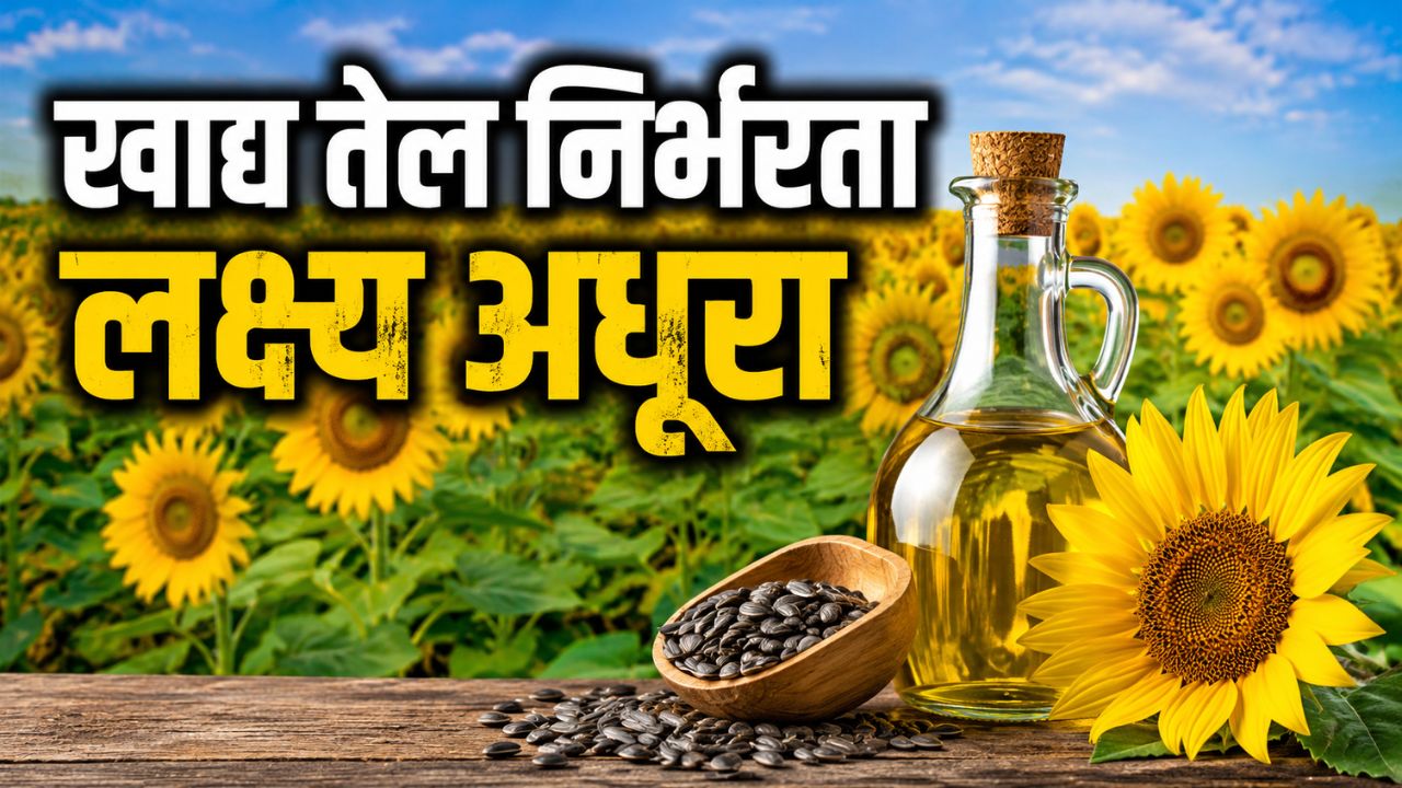 Govt Efforts Failed To Increase Oilseed Acreage Oilseed Crops Not Sown On 19 Lakh Hectares Then How Self Reliance Target Be Done