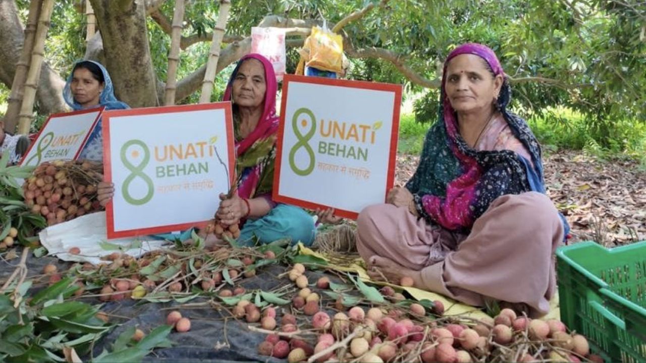 Indian Fruits Gaining Popularity Worldwide First Consignments Of Punjab Litchis And Himachal Cherries And Plums Dispatched