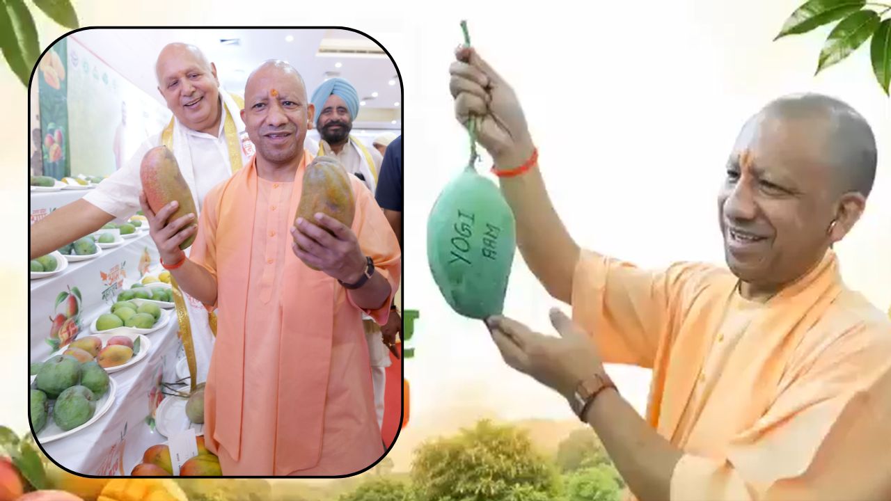 Malihabad Dasheri Mangoes Get Kakori Brand Name Cm Yogi Says Up Mangoes Dominate Global Market During Up Aam Mahotsav