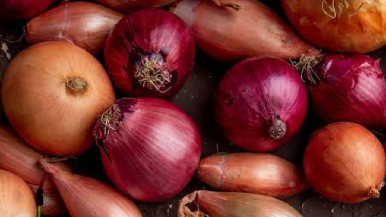 Onion Prices Hiked For Fifth Time Yet Procurement Reached Only 5 Percent Of Buffer Stock Target It May Become Cause Of Commodity Inflation