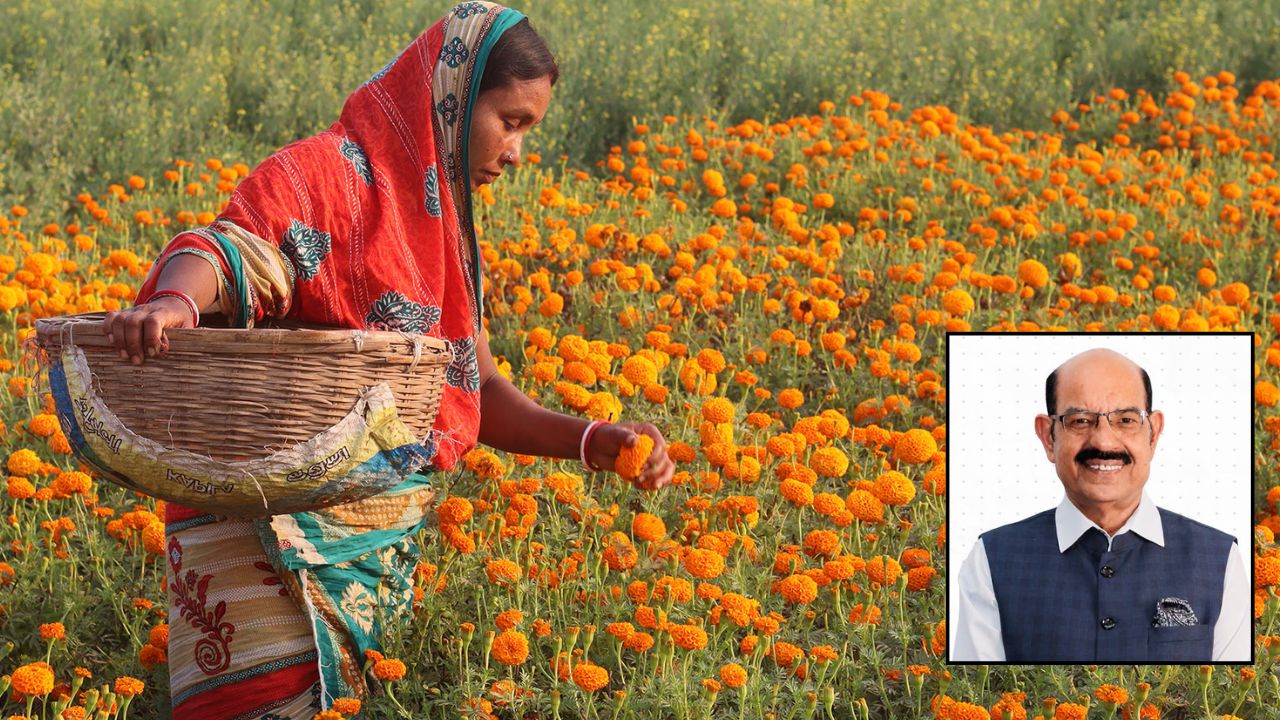 Punjab Horticulture Minister Mohinder Bhagat Said Govt To Give Rs 14000 For 3 Years On Flower Seed Production Under Horticulture Schemes