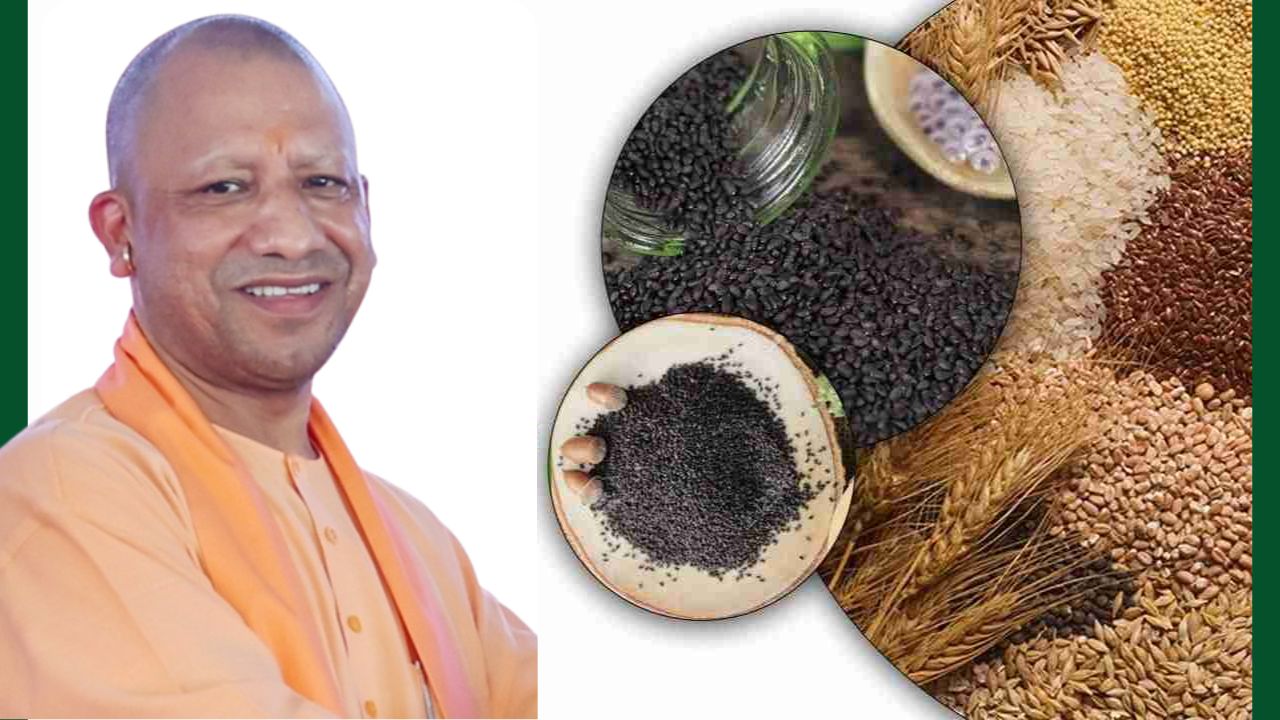 Seed Supply In Uttar Pradesh Farmers Receive Improved Seeds For Paddy Pulses And Oilseed Crops Over 93 Percent Target Achieved
