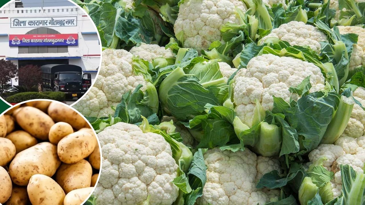 Noida Jail Inmates Produced 661 Quintals Vegetables Through Organic Farming Over 82 Prisoners Are Cultivating On 21 Acres Land