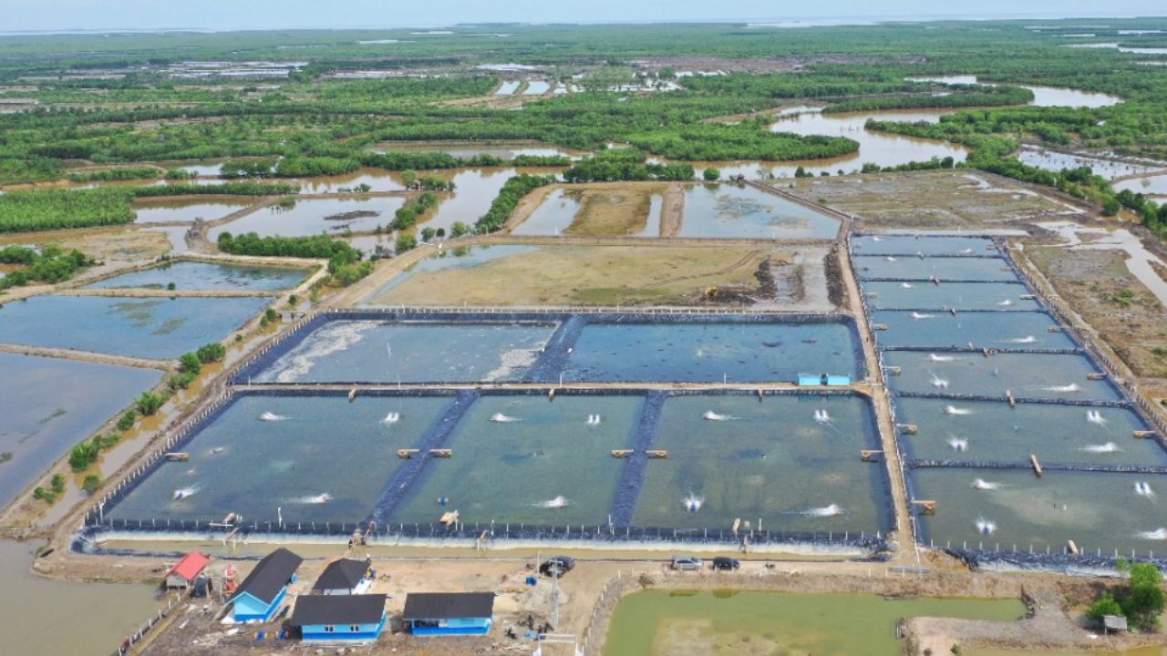 50 Acre Hi Tech Aqua Park 160 Women To Earn Crores From Fish Farming