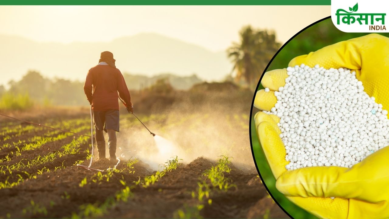 Sfai Said Weak Monsoon Drives Up Demand For Water Soluble Liquid Fertilizers And Farmers Seek Cheaper Fertilizer Alternatives