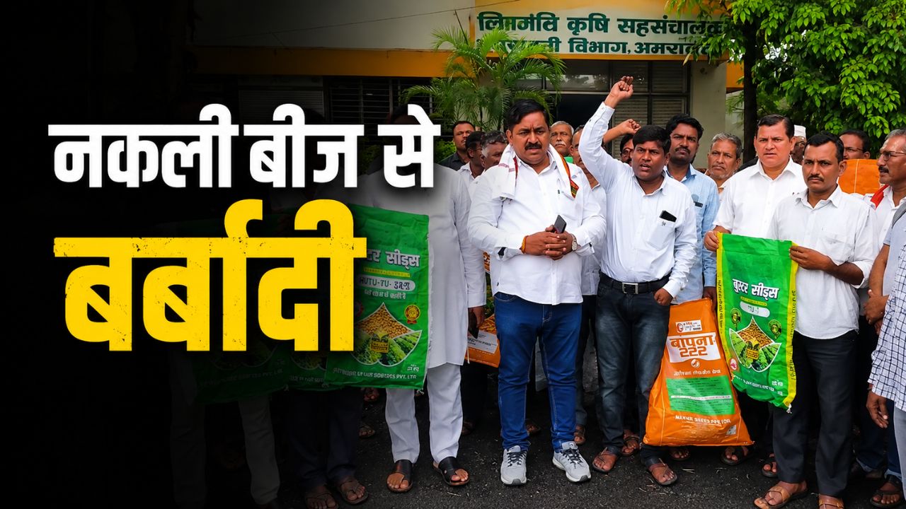 Lab Testing Reveals Company Sold Fake Seeds Of Soybean To Farmers Seeds Not Germinate And Crops On Thousands Of Acres Ruined In Maharashtra
