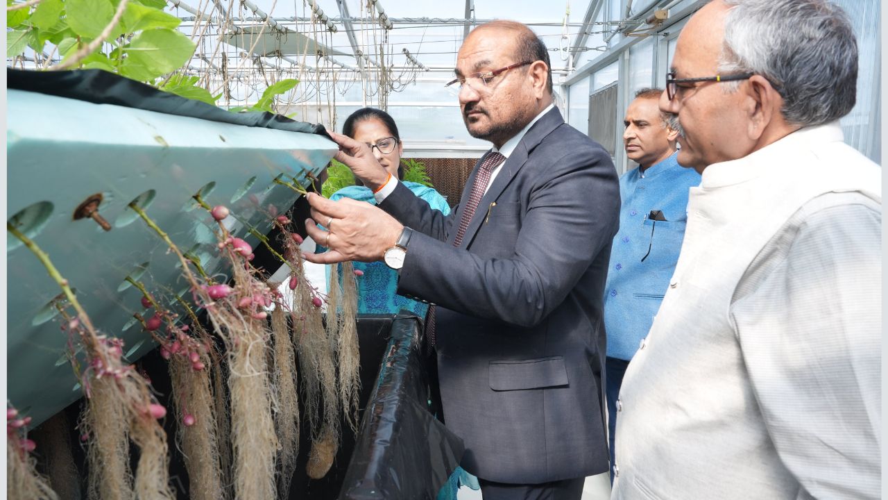Agriculture Advisory For Potato Farmers In View Of Late Blight Disease Spread Icar Cpri Advises Pesticide Use Guide For Himachal Farmers