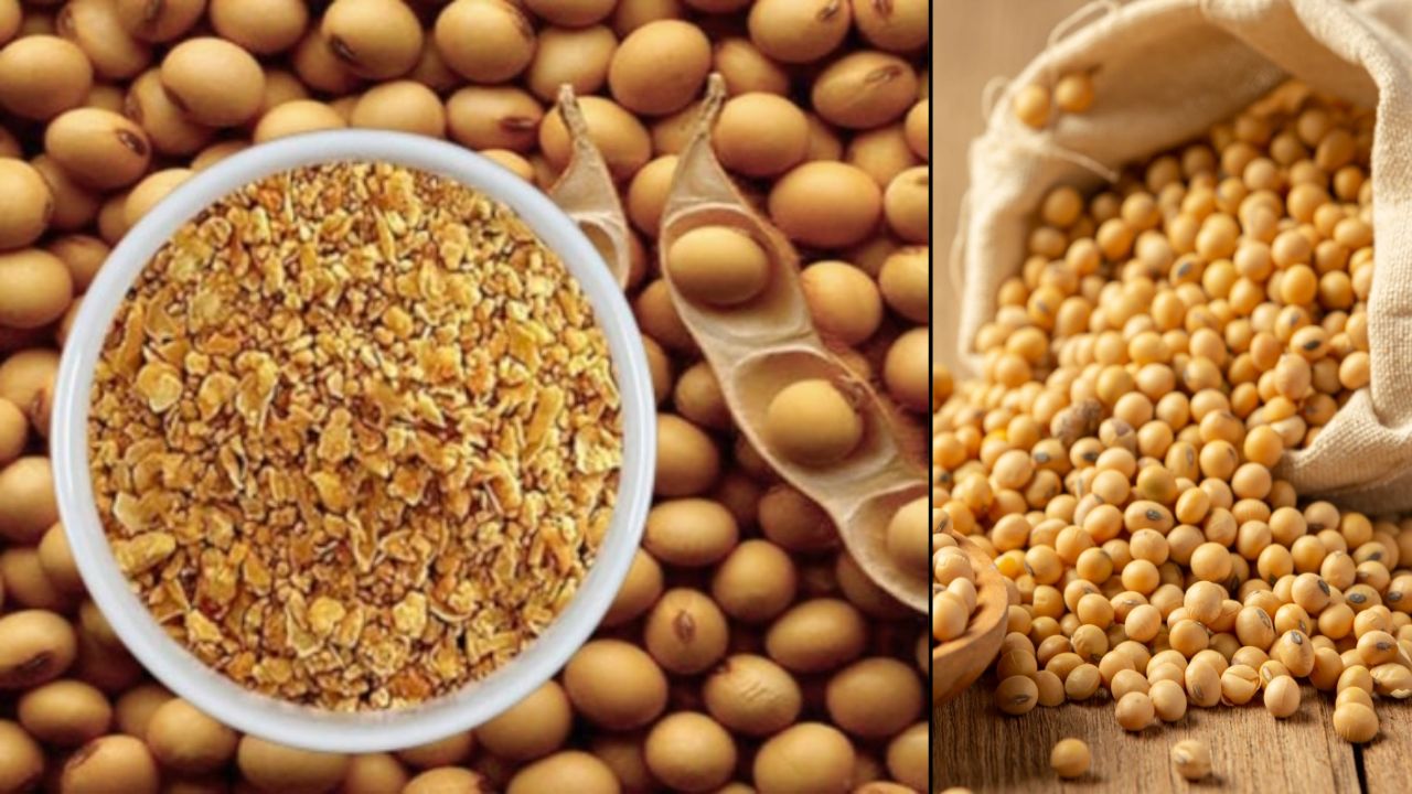 Setback In Feed Sector Leads To Sharp Decline In Soybean Meal Exports Drop 69 Pc In June Farmers May Face Lower Prices Issue