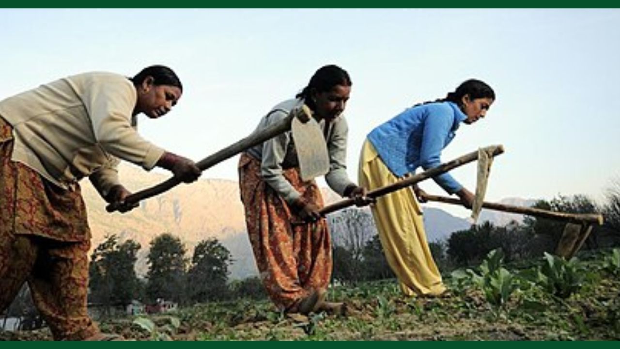 Agriculture Commissioner Pk Singh Said Skilled Workers Shortage May Slow India Bio Agriculture Solutions Push And Agri Sector Growth