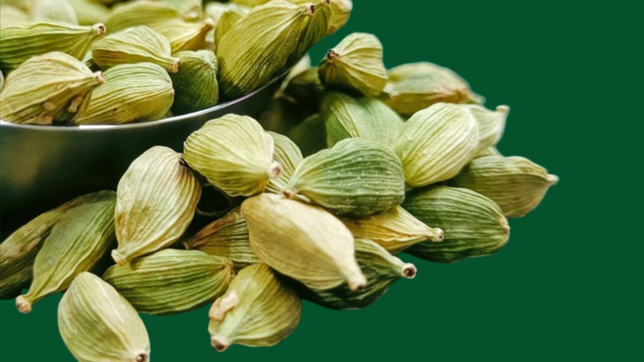 Indian Cardamom Export Rises Triple Fold In Two Years Due High Global Demand Including China And Gulf Market