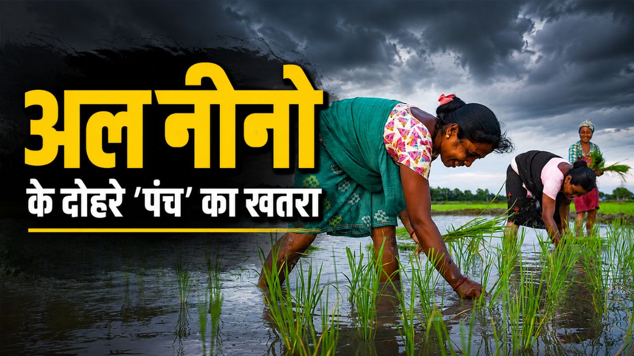 El Nino Impact Could Severely Affect Farming In August Farmers Warned Of Drought Crisis And Andhra Govt Urges To Switch Alternative Crops