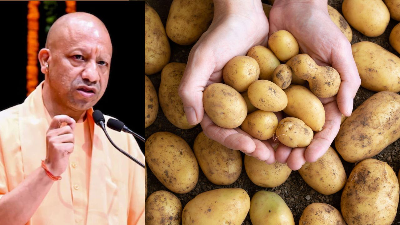 Agra International Potato Research Center Raises Concerns Cm Yogi Lashes Out Over Delays In Farmers Project