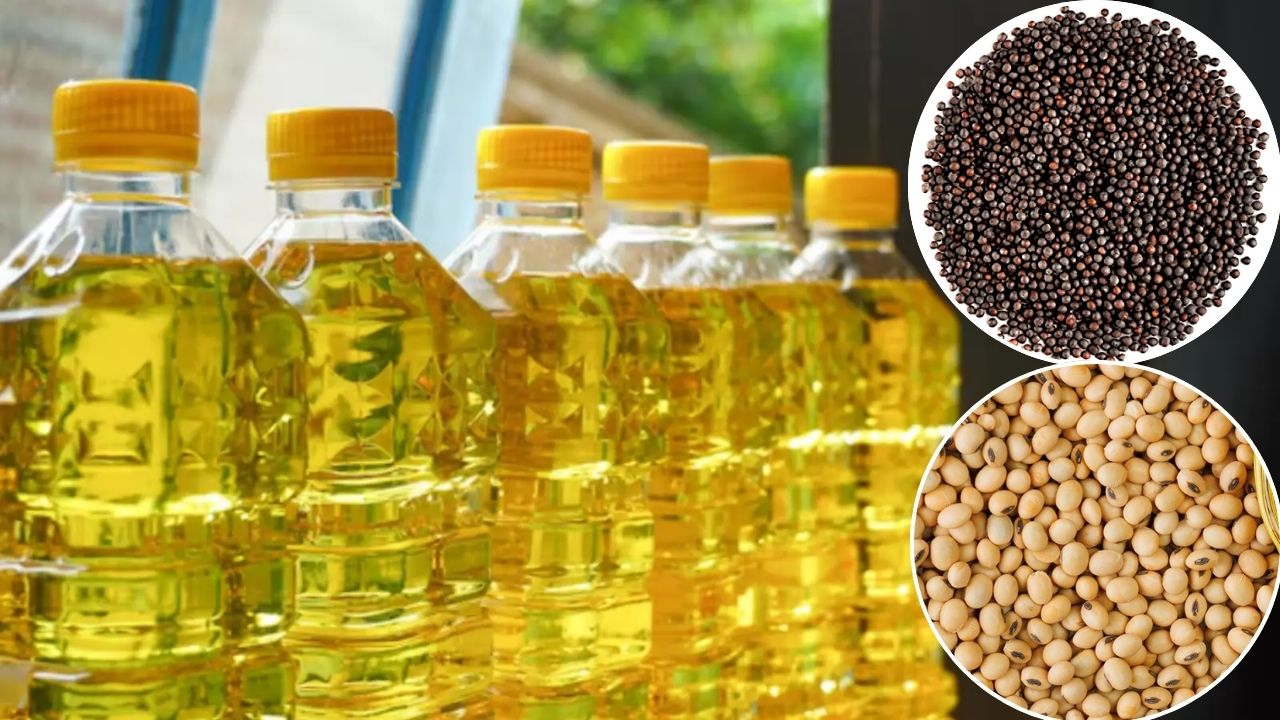 Imported Edible Oils Prices Decline Due But Mustard Oil Price Rises Check Commodity Price Updates
