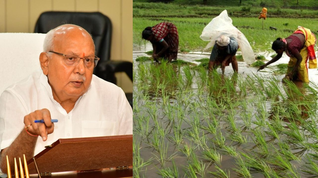 Kharif Sowing 95 Complete In Uttar Pradesh Agri Said Quick Action To Be Taken Against Reluctance To Supply Fertilizers To Farmers
