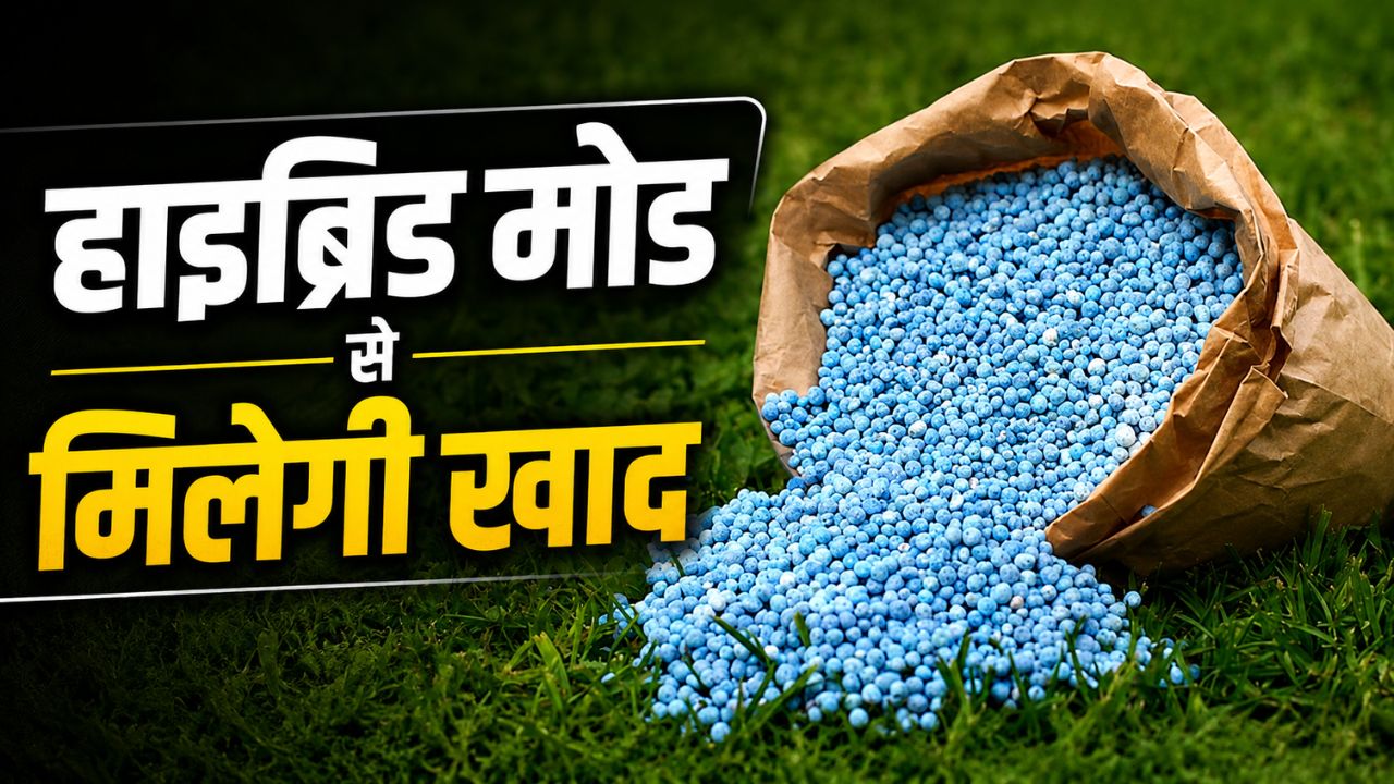 After Farmers Protest Madhya Pradesh Fertilizer Distribution Rules Changed In Mp Sellers To Adopt Hybrid Mode
