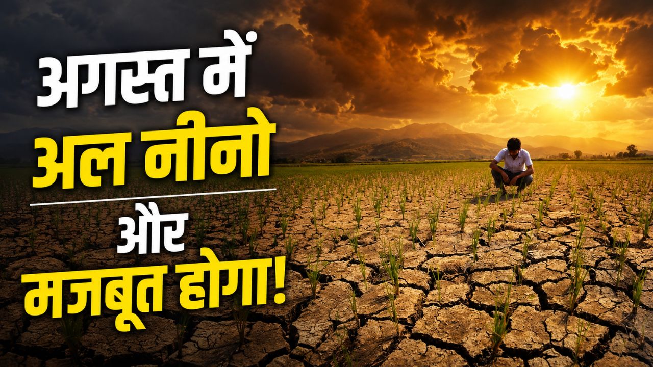 Imd Monthly Forecast Average Rainfall To Be Below Normal During Second Half Of Monsoon Due To El Nino