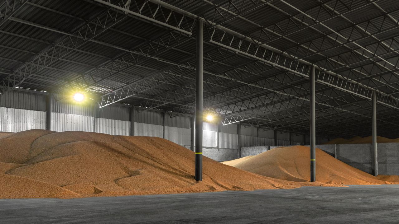 Punjab Is Facing A Storage Crisis Warehouses Are Full