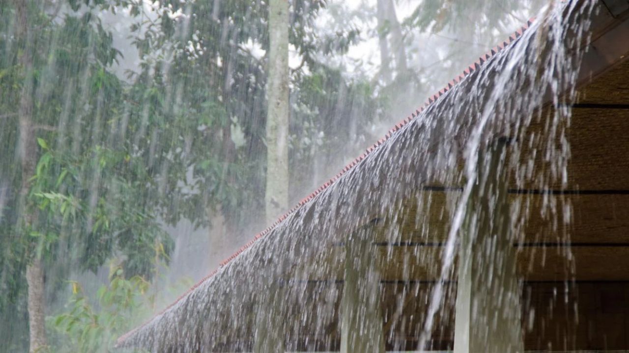 Monsoon Becomes Active Again In Punjab Rain Expected Till July 30