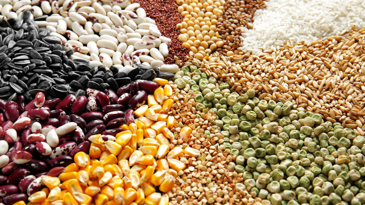 Up Government Is Giving 50 Percent Subsidy On Rabi Seeds Wheat Chana Mustard Online Booking Started