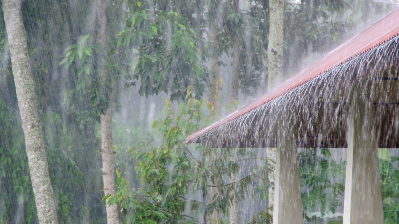 Telangana Has Received 35 Percent Less Rainfall Farmers Are Unable To Irrigate
