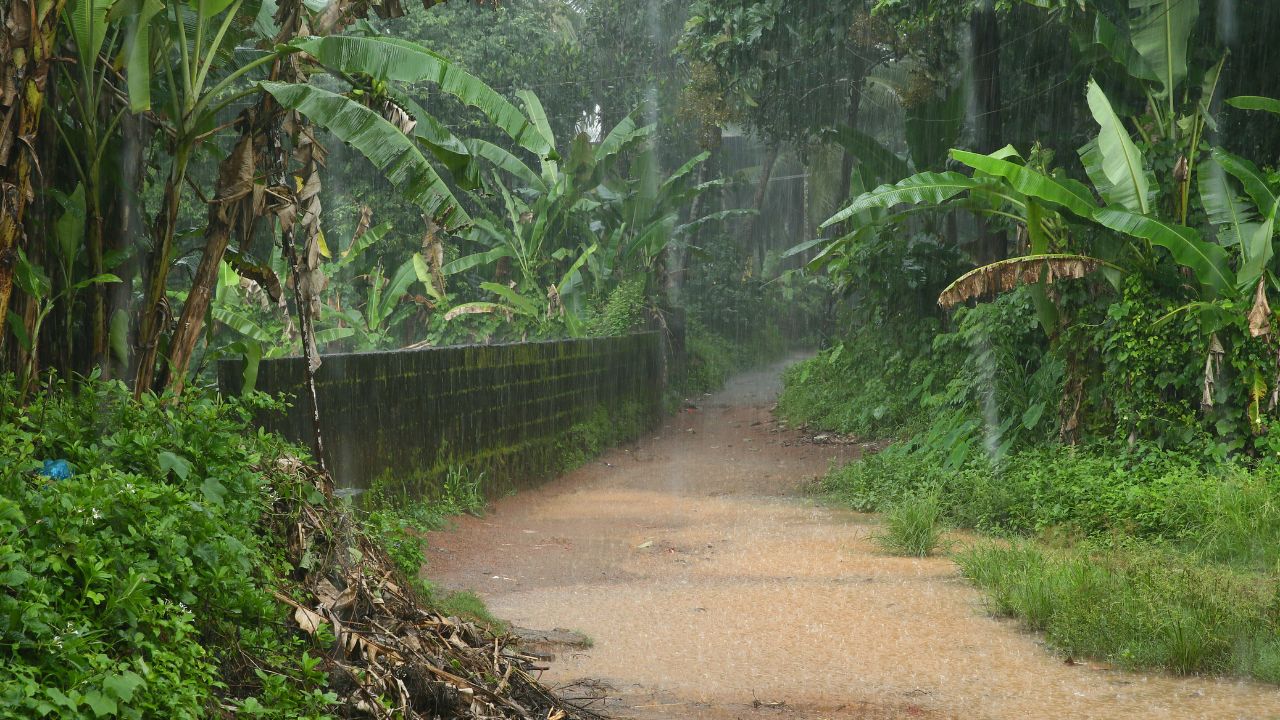 July 28 Weather Update Rain Alert Forecast Heavy Rain Expected In Several States Until August 1st