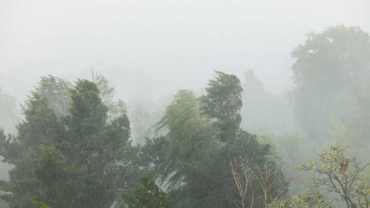 31st July Weather Update Monsoon Becomes Active Again In The Country Heavy Rain Alert Issued In 12 States
