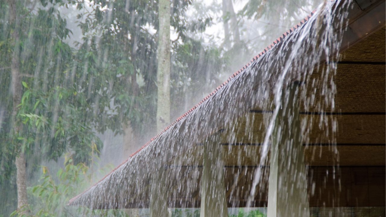 Heavy Rain Alert Issued In 22 States July 20 Weather Update