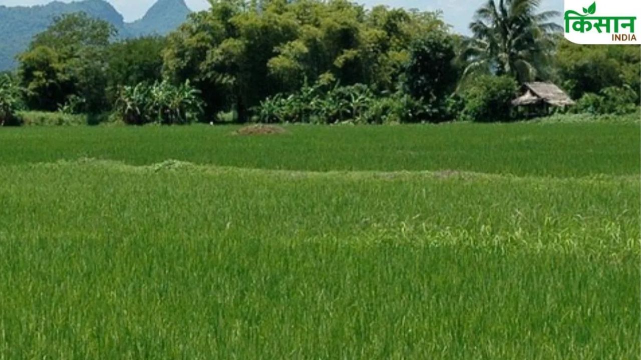 Telangana Government Prepares Contingency Plan To Deal With El Nino