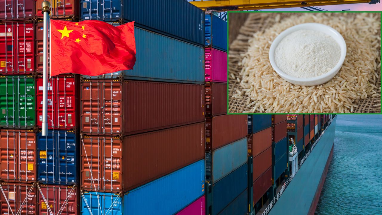 Eu Deals Blow To China Returns Rice Flour Consignment Tests Find Gmo Elements