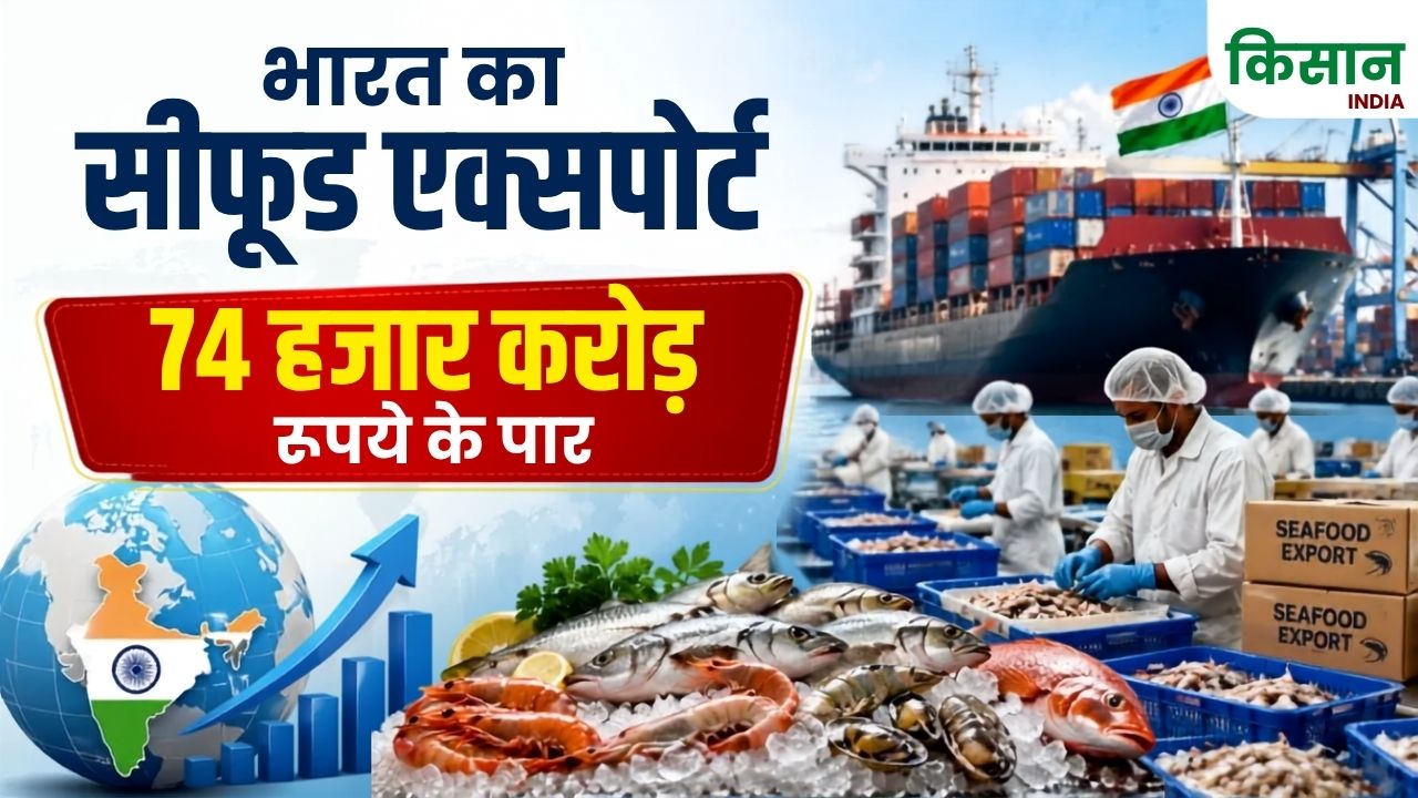 India Seafood Exports Reach All Time High With 74 Thousand Crore Business Frozen Shrimp Leads With Rupees 49000 Crore