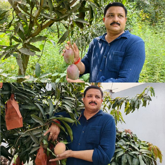 Achal Kumar mishra