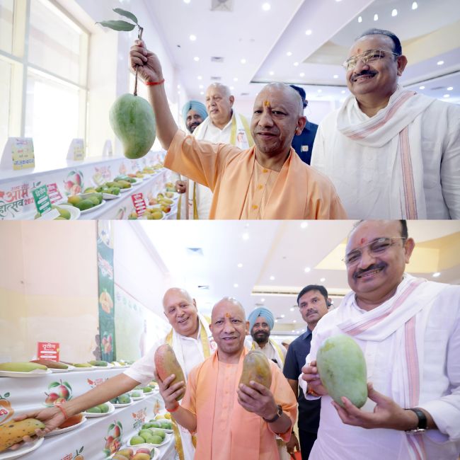 Mango Festival Lucknow