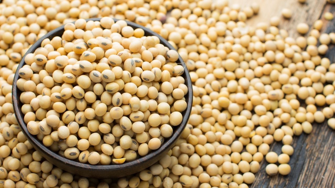 India Soybean Sowing Crosses 111 Lakh Hectares Sopa Sees Good Crop Better Yield Prospects