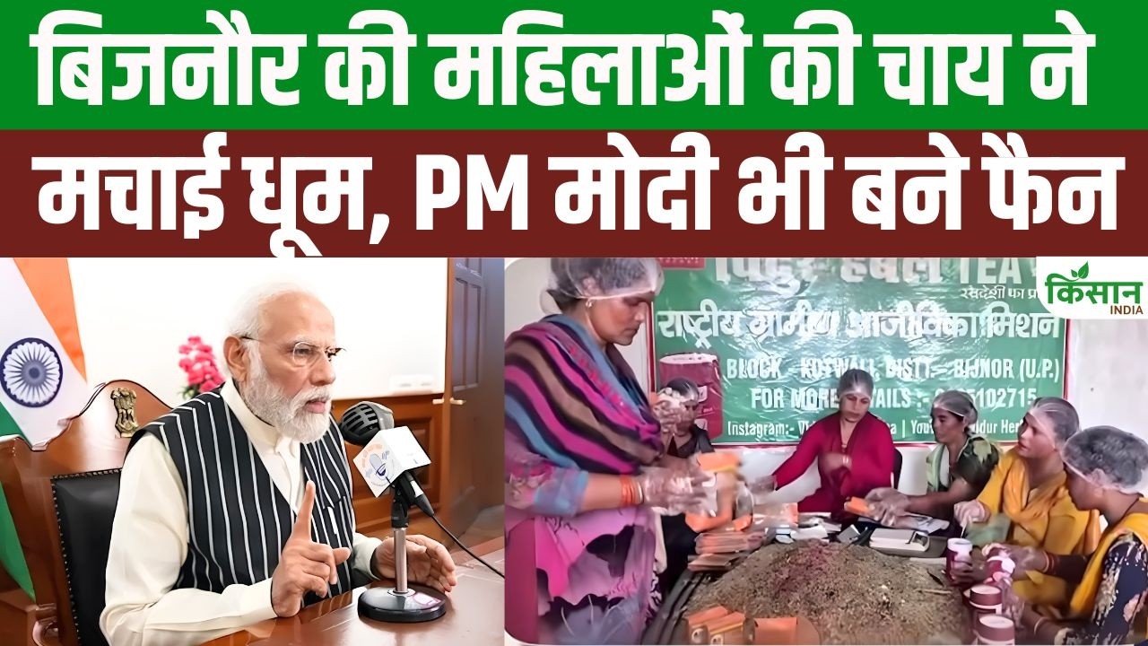 Pm Modi Praises Women From Bijnor Herbal Tea Wins Hearts On Mann Ki Baat