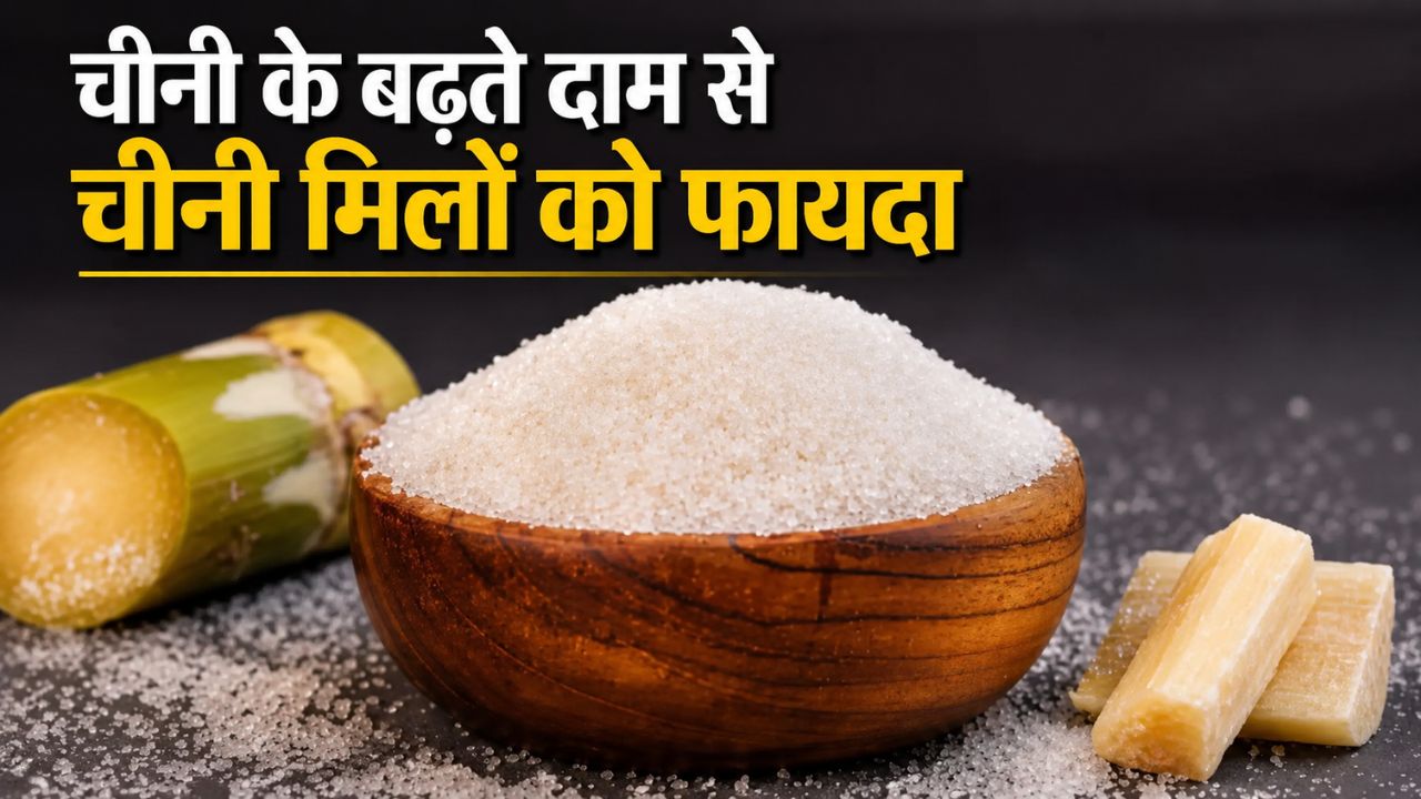 Sugar Price Hike Maharashtra Sugar Mills Sugar Rate Increased By Rs 4000 Per Ton