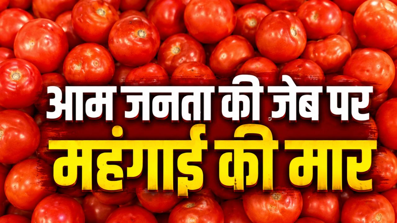 Tomato Price Hike Tomatoes Are Expensive In Jaipur Price Is Rs 100 Per Kg