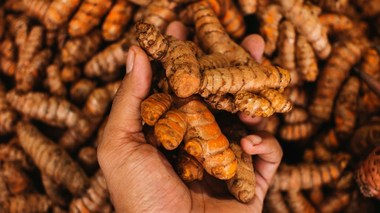 Market Rate Turmeric Price Hike Erode Market Prices Rise To Rs 20000 Per Quintal