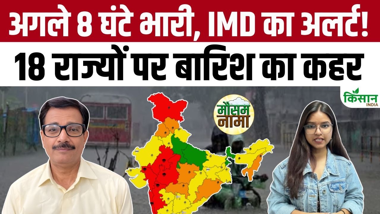 Weather Update Today Heavy Rainfall To Wreak Havoc In The Next 8 Hours Imd Issues Warnings For 18 States